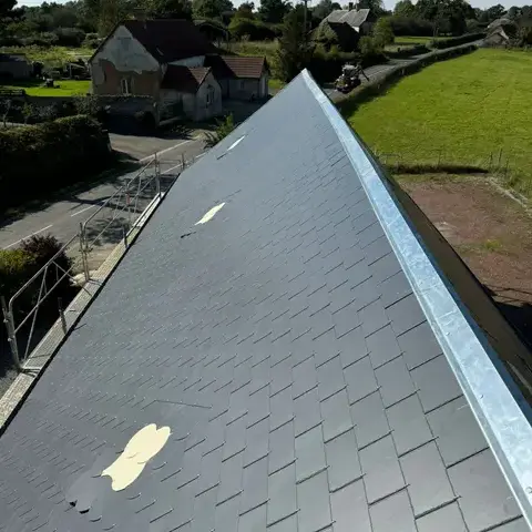 démoussage toiture à Appeville - image 2