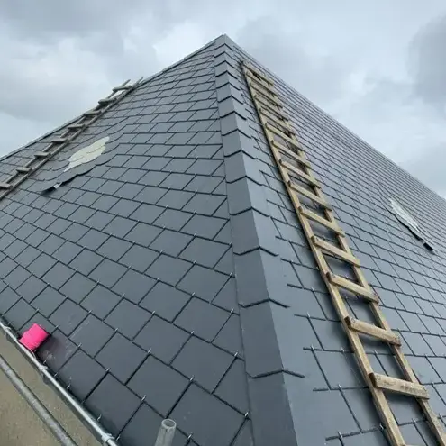 démoussage toiture à Appeville - image 4