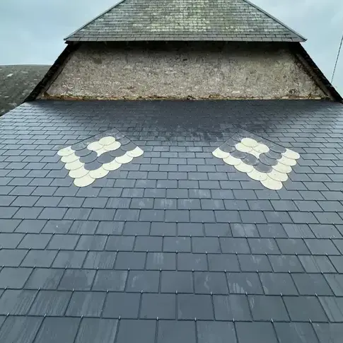 démoussage toiture Baupte-1