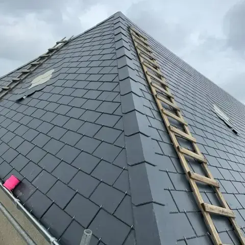 démoussage toiture Montsenelle-1