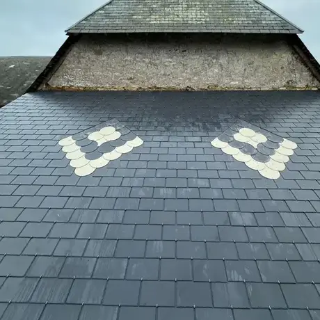 démoussage toiture à Montsenelle - image 4